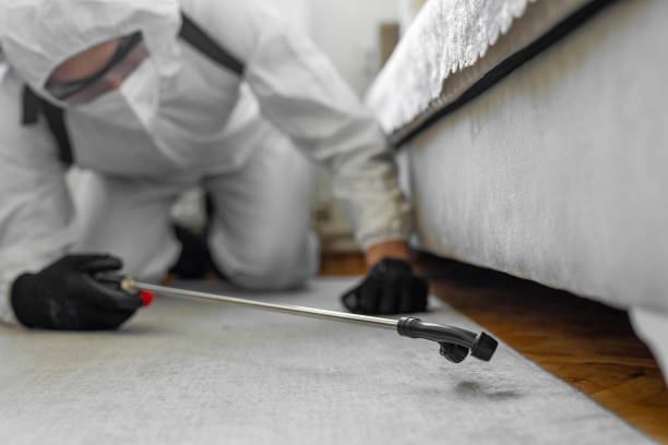 Professional Bed Bug Control technician working in Marco Island, FL