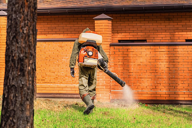Trusted Mosquito Control service in Marco Island, FL - Nex Pest Control